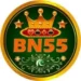 BN55
