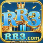 RR33 Game